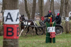 oefenmarathon 2016 MG 9924-9924  